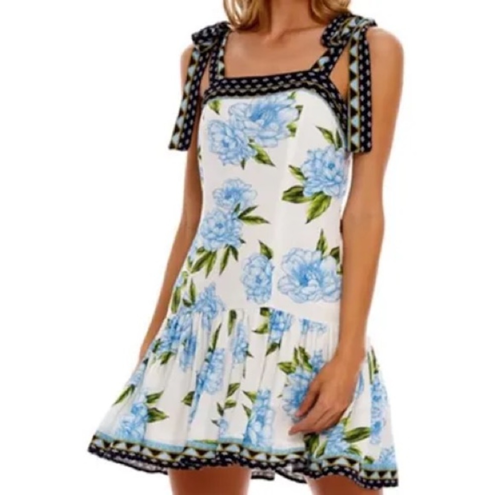 Agua Bendita Mini Dress, Medium